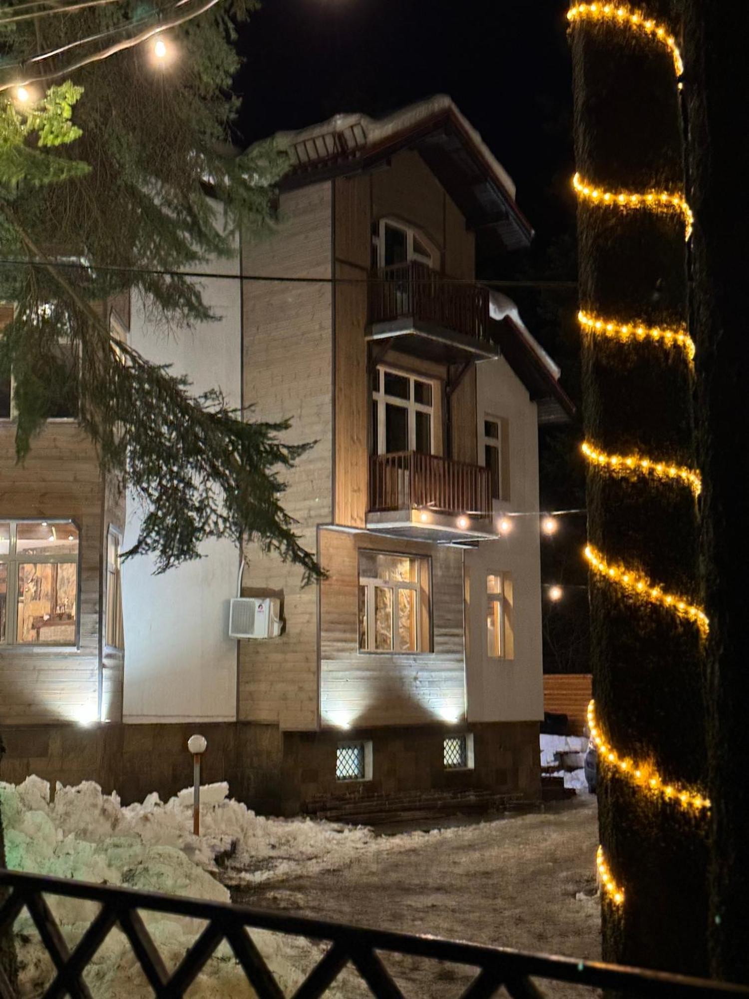 The Forest Villa Borovets Eksteriør billede
