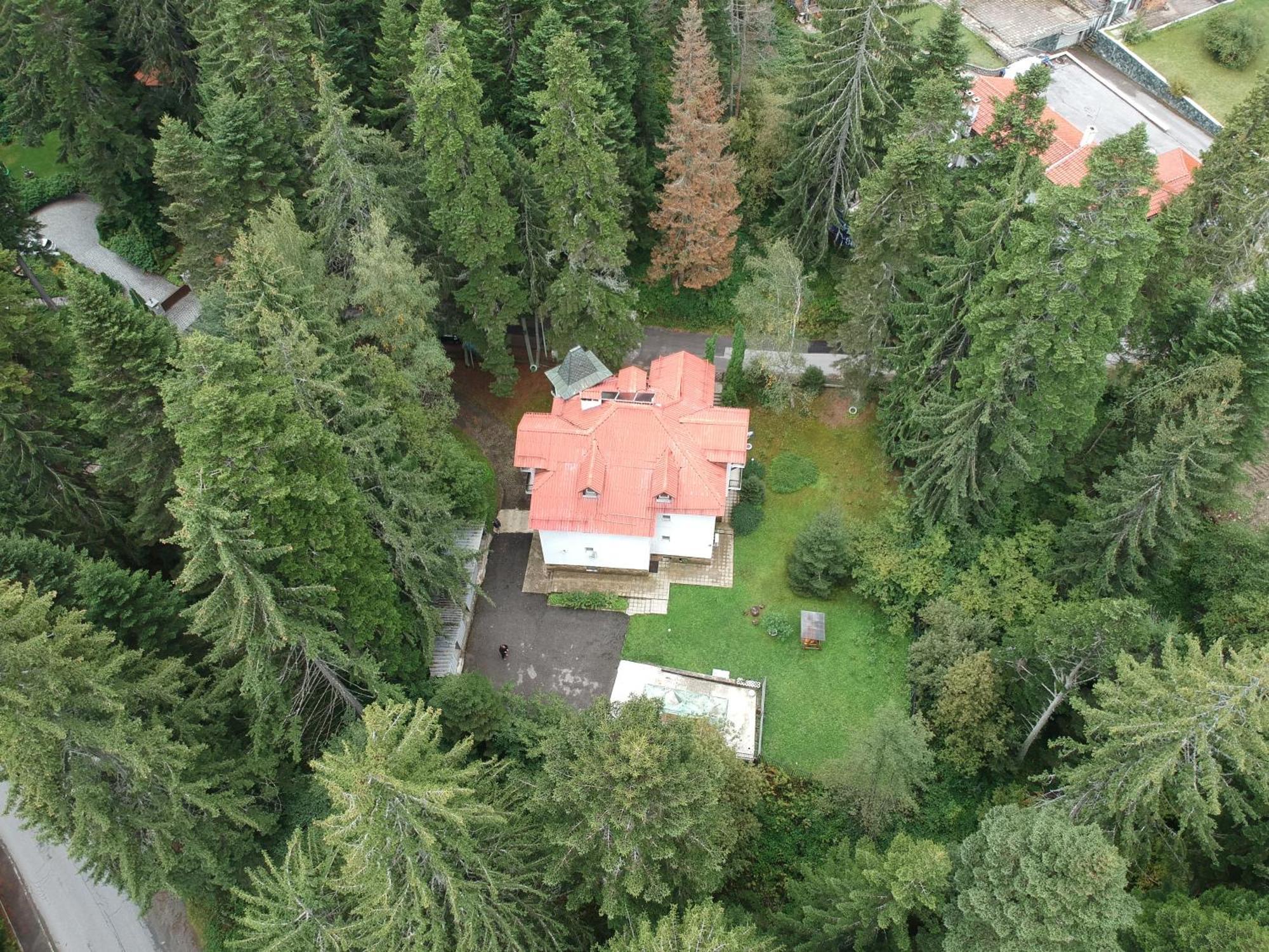 The Forest Villa Borovets Eksteriør billede