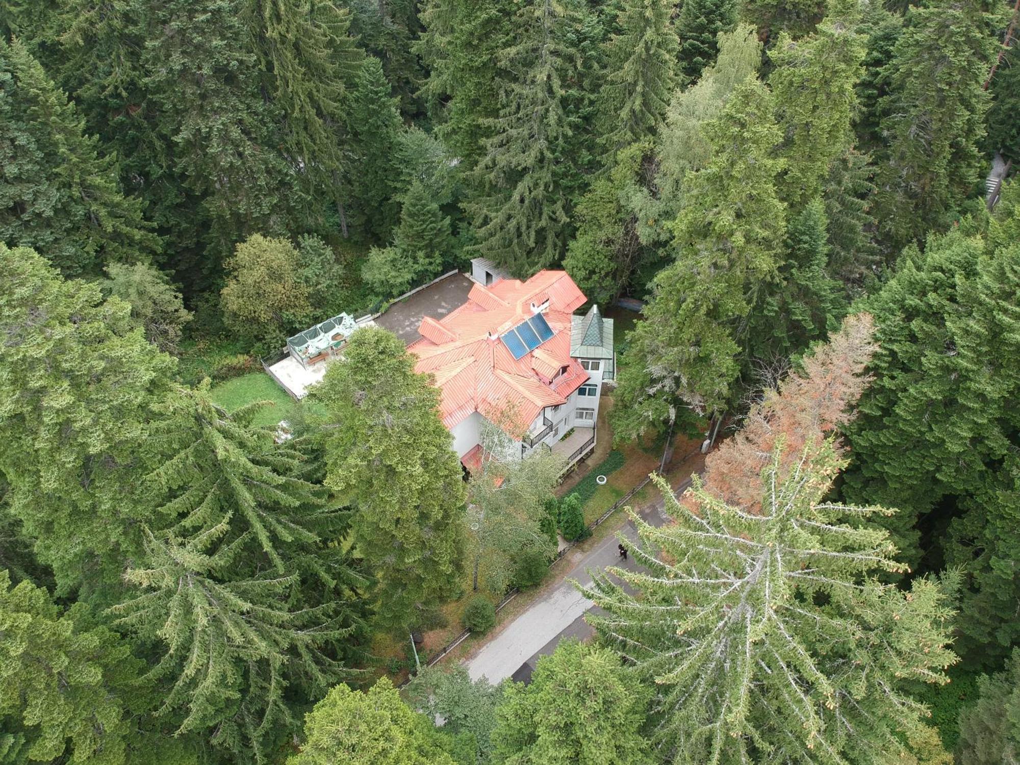 The Forest Villa Borovets Eksteriør billede