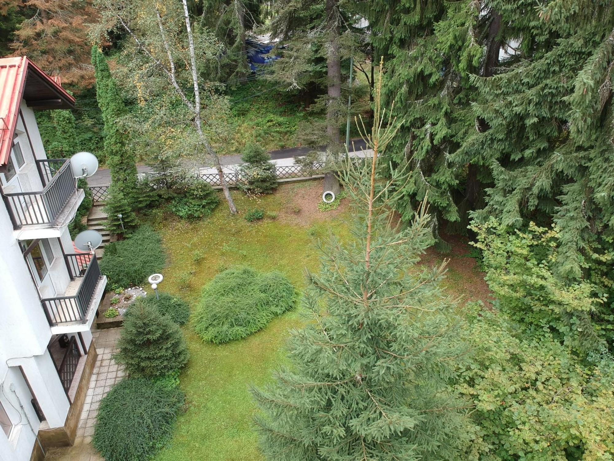 The Forest Villa Borovets Eksteriør billede
