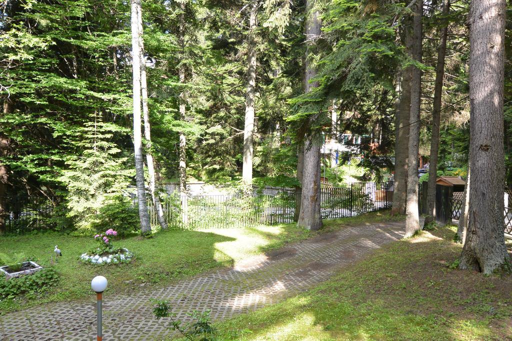 The Forest Villa Borovets Eksteriør billede