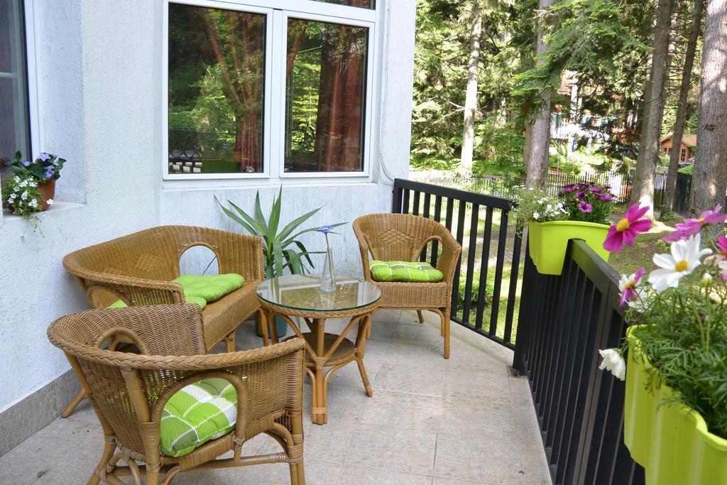 The Forest Villa Borovets Eksteriør billede
